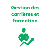 Gestion des carrières et formation